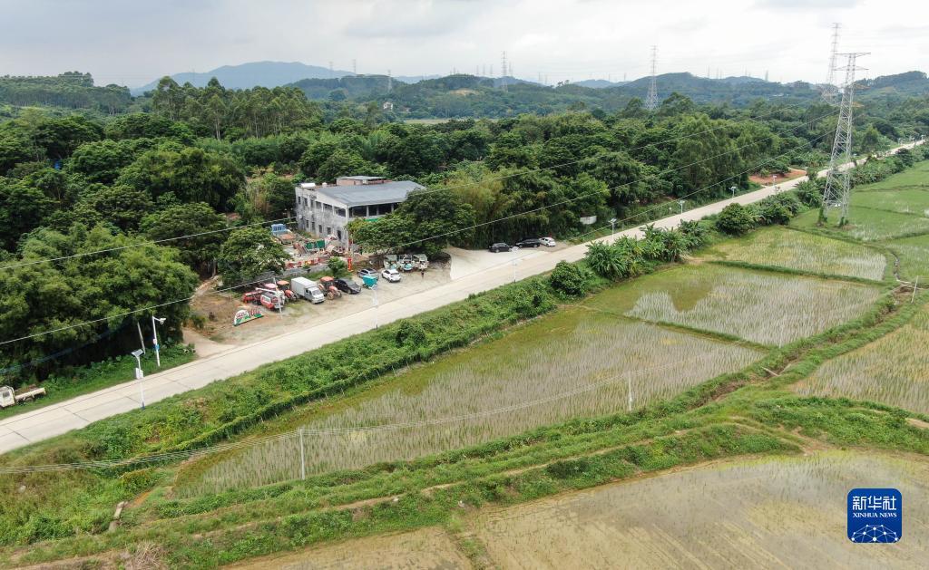 扑鱼达人单机版